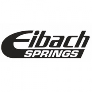 Eibach Springs