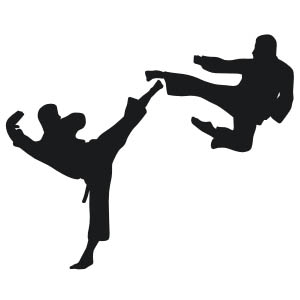 Martial Arts
